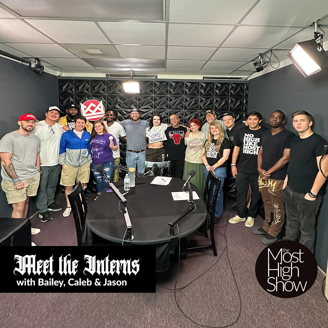 Meet The Interns episode artwork